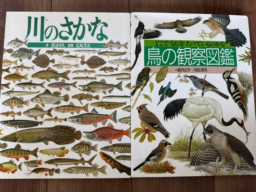 岩崎書店　絵本図鑑シリーズ　全３１巻