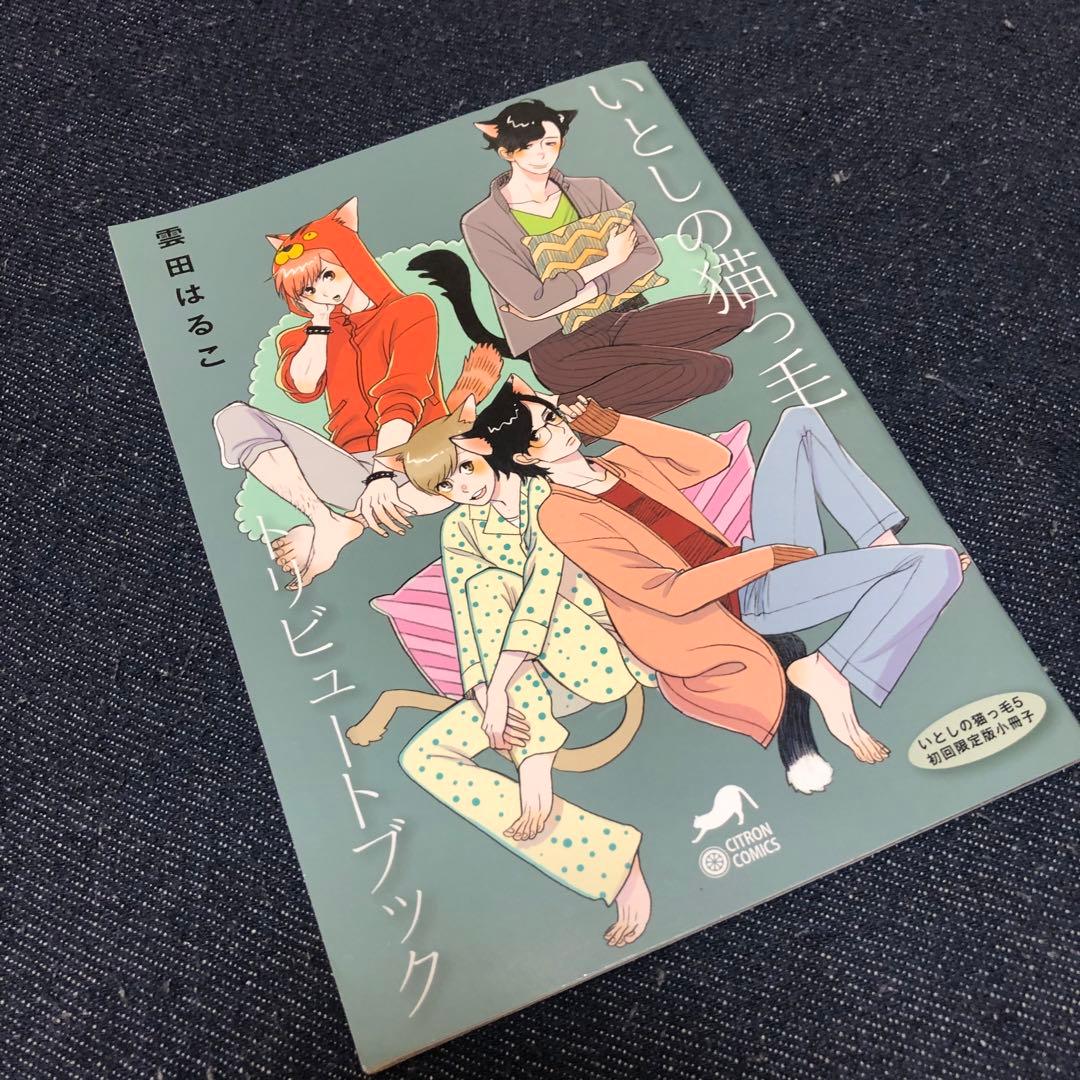 初版　いとしの猫っ毛　セット　雲田はるこ