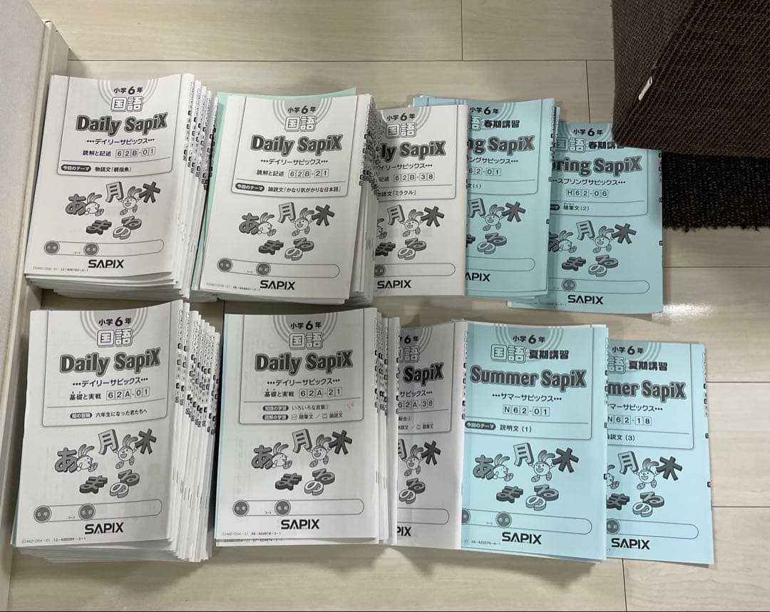 サピックス　SAPIX　6年　国語　テキスト1年分　2024年度版