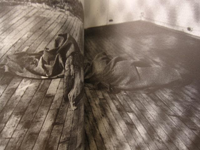 Aus Berlin neues vom kojoten　ヨーゼフ・ボイス