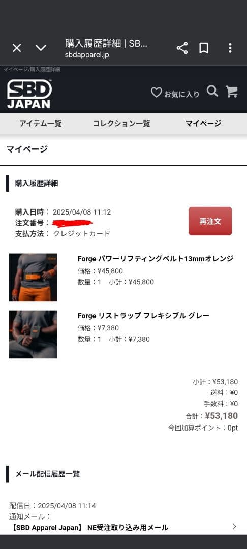 SBD パワーリフティングベルト　Forge Lサイズ　13mm オレンジ