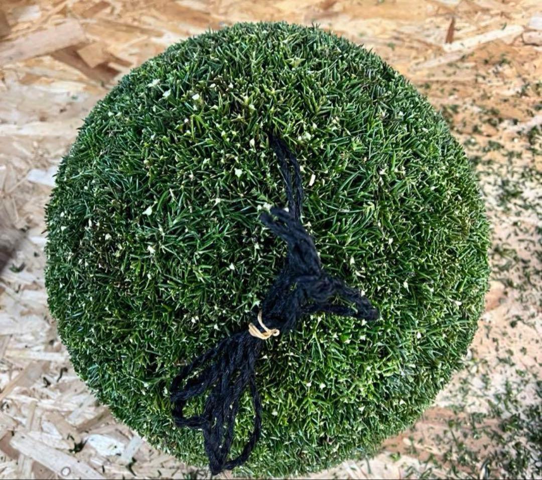 杉玉　約30センチ屋根付き‼️縁起物　丸くて幸せ　家族円満♪