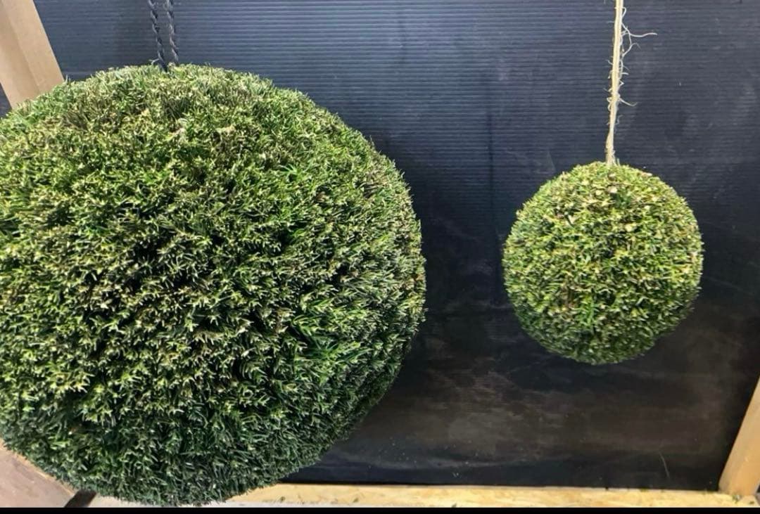 杉玉　約30センチ屋根付き‼️縁起物　丸くて幸せ　家族円満♪