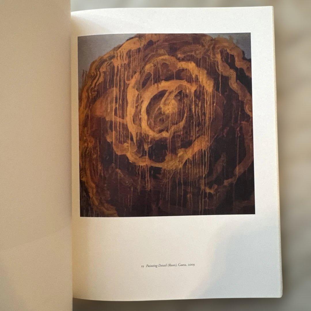 Cy Twombly 写真集