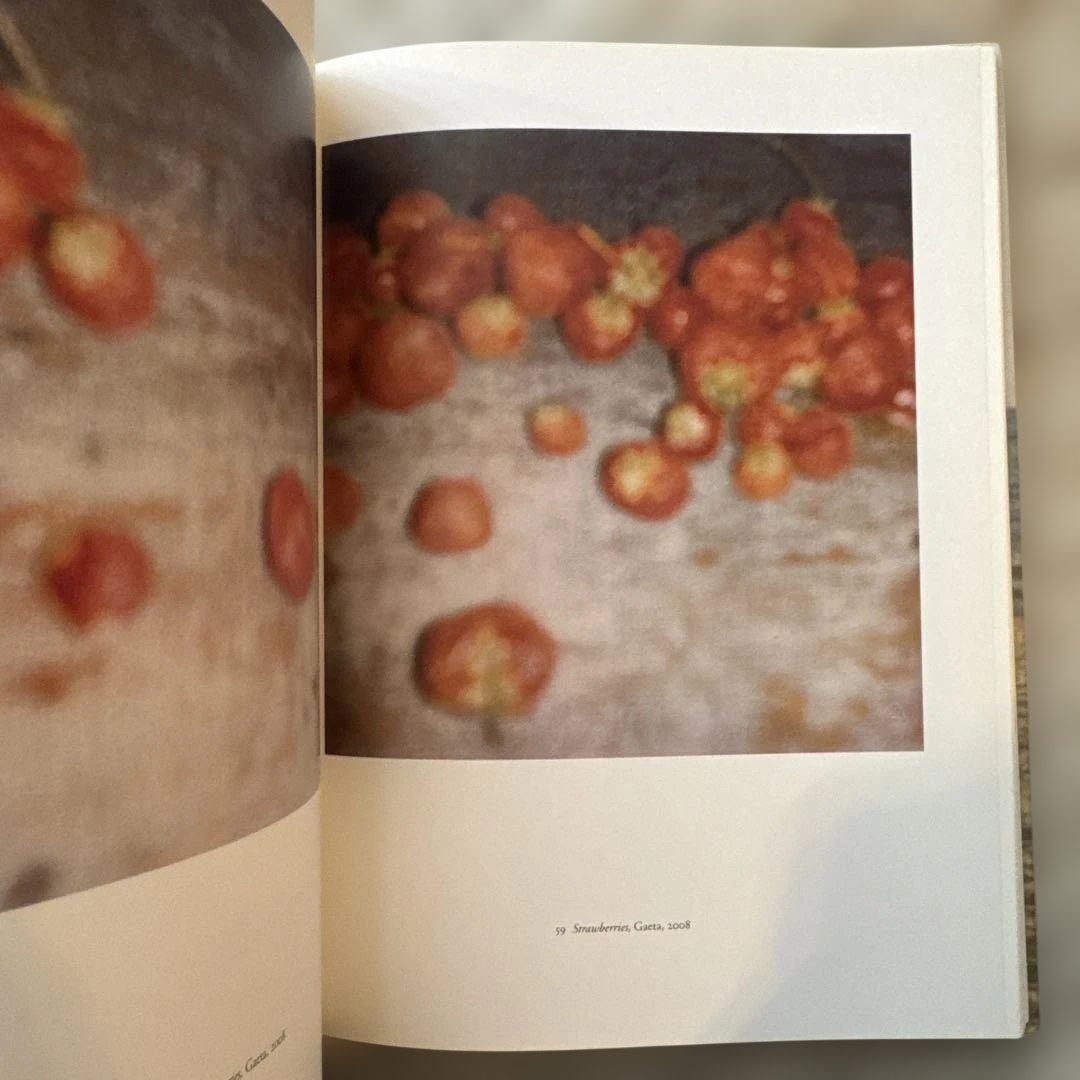 Cy Twombly 写真集