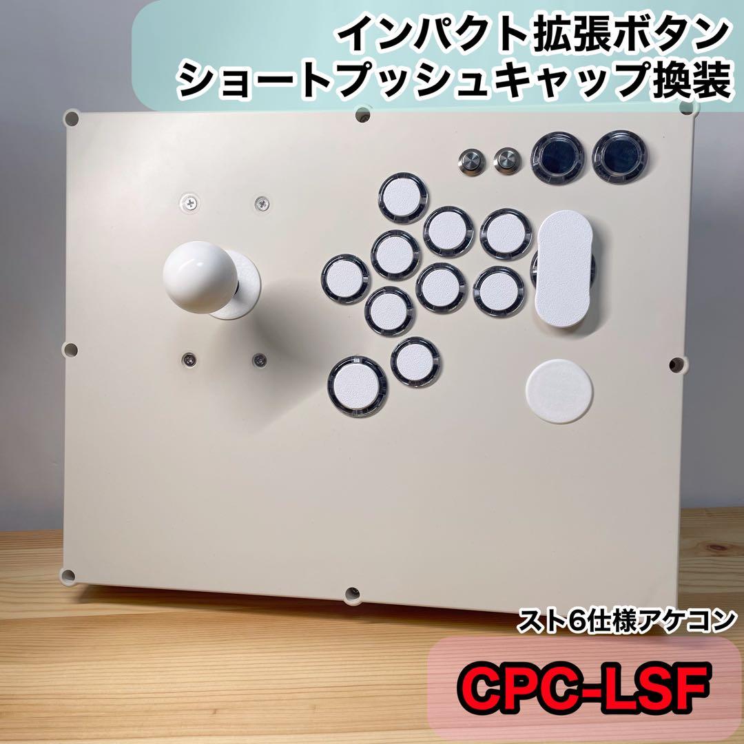 【CPC-LSF】一ノ瀬（いちのせ）様