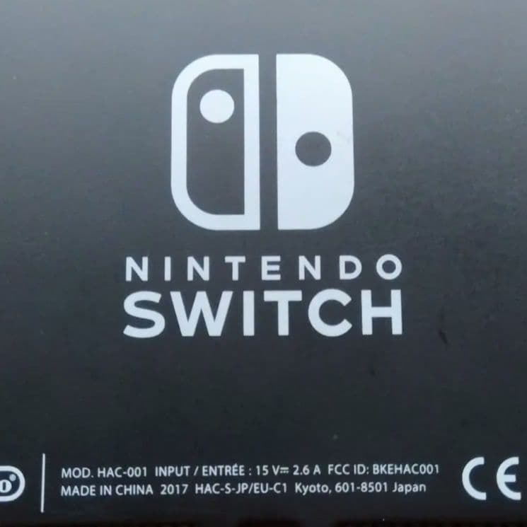Nintendo Switch 本体　ドッグ　セット