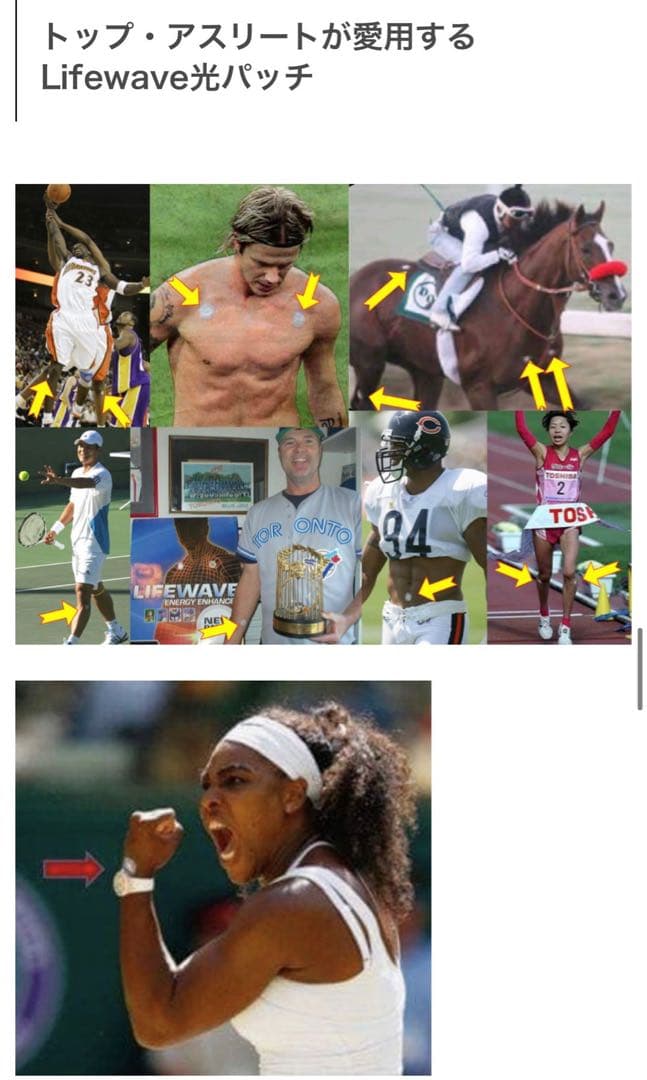 新品★LIFEWAVE / ライフウェーブエナジーエンハンサー３０枚入り