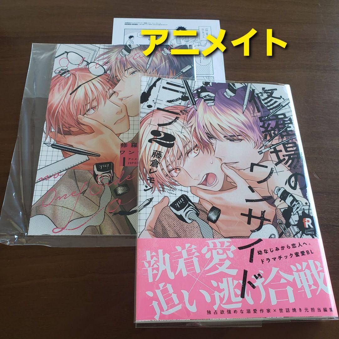 【専用出品　猫又様】宅急便　計19冊