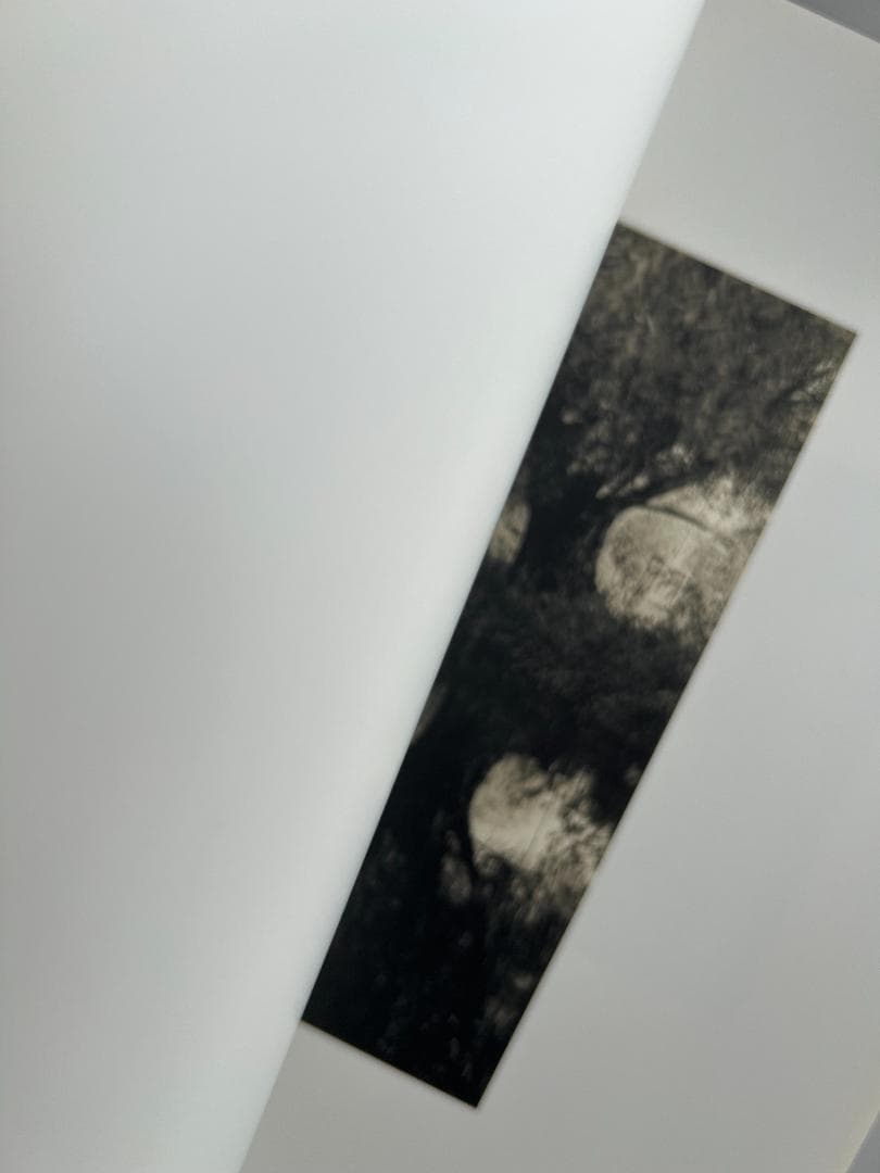 Waterscapes Tomio Seike 上田義彦 ホンマタカシ 石川直樹