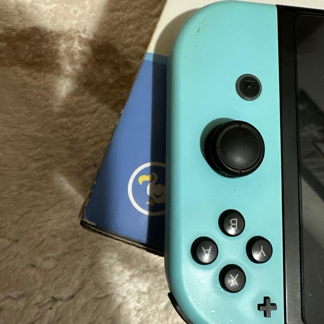 Nintendo Switchあつまれ どうぶつの森セット