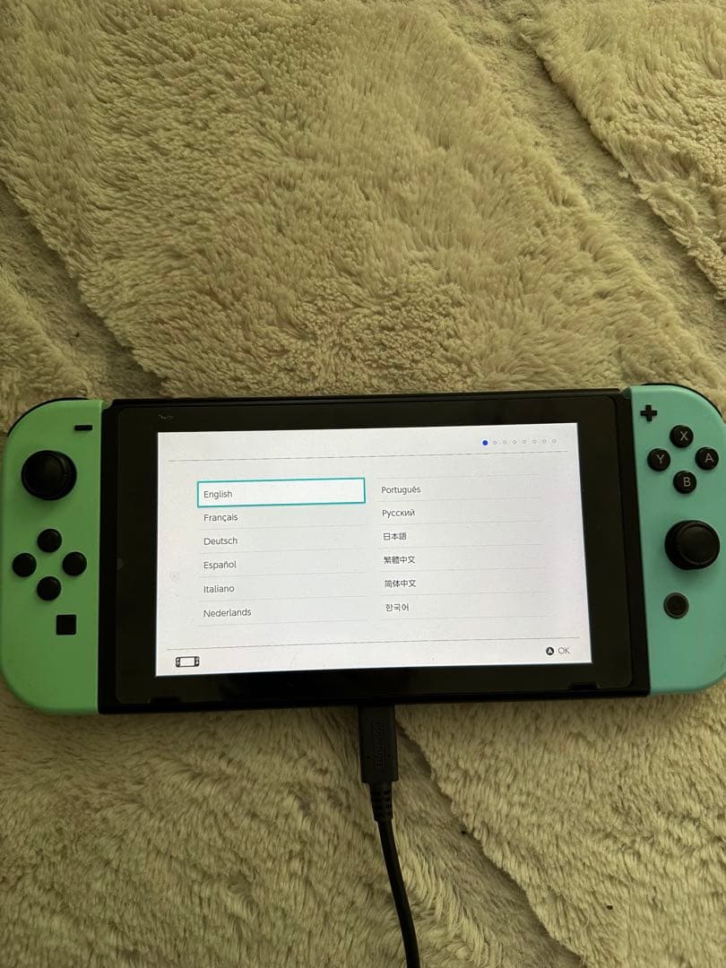 Nintendo Switchあつまれ どうぶつの森セット