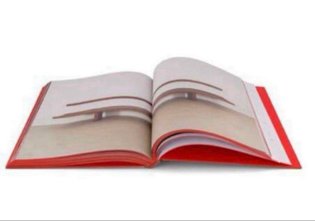 新品未開封　pierre chapo book 本　ピエールシャポー