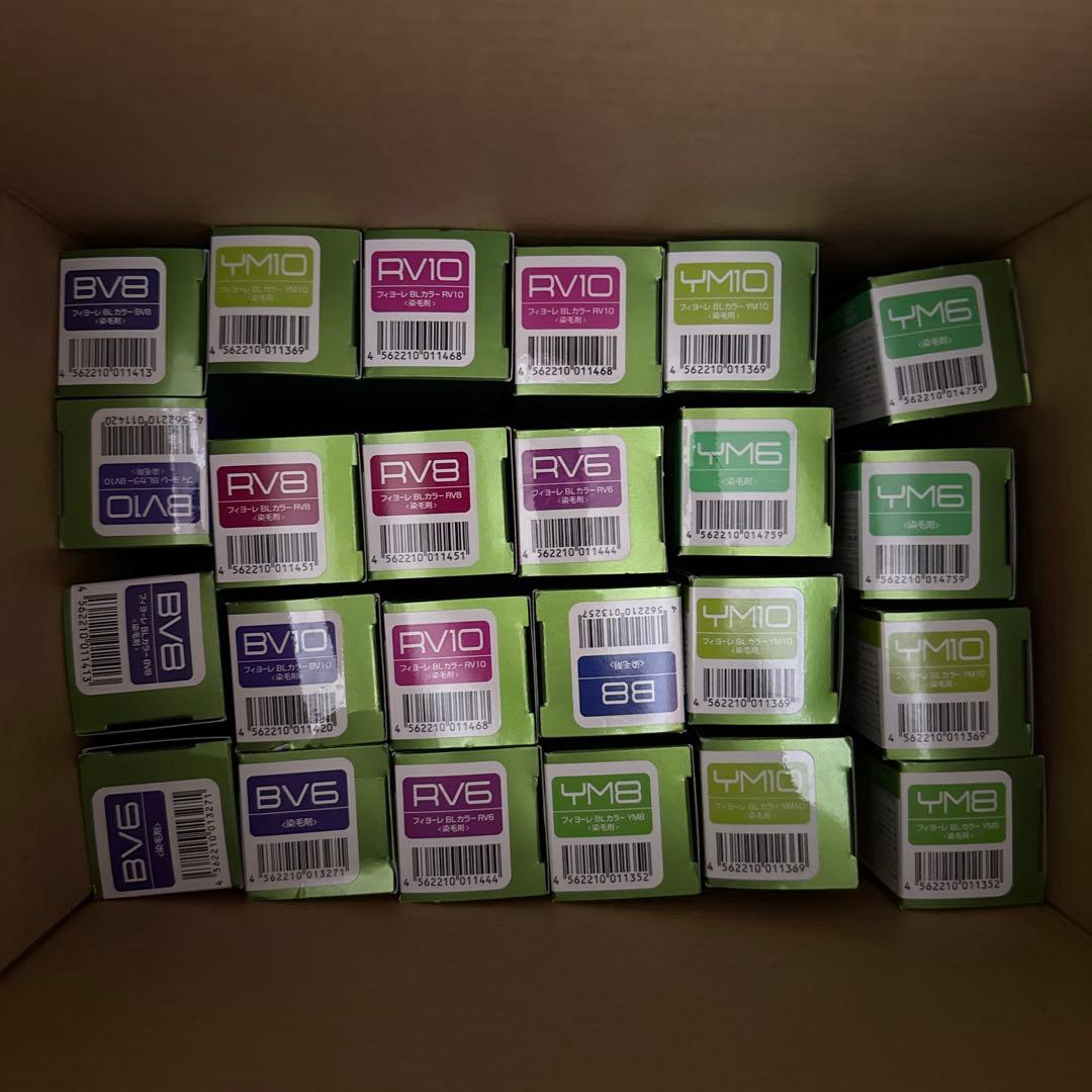 フィヨーレBLカラー　48本