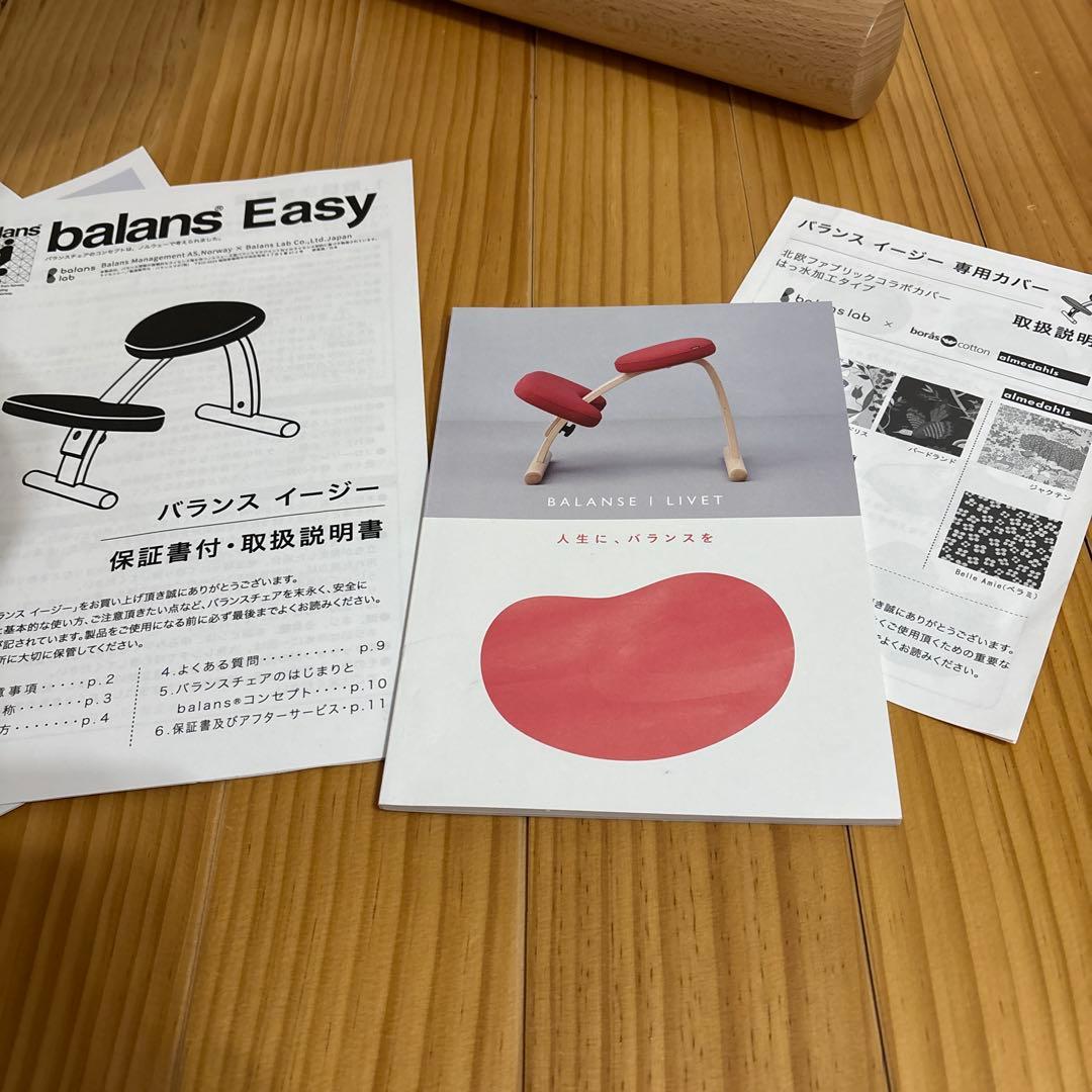 美品⭐︎バランスイージー　バランスラボ株式会社　チェア　イス　姿勢　矯正