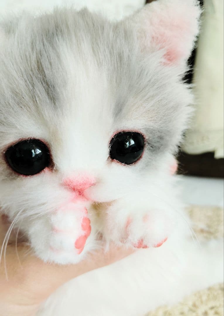 幼猫♡生後２週間♡よちよち期♡子猫の杏ちゃん♡アートドール♡ぬいぐるみ♡