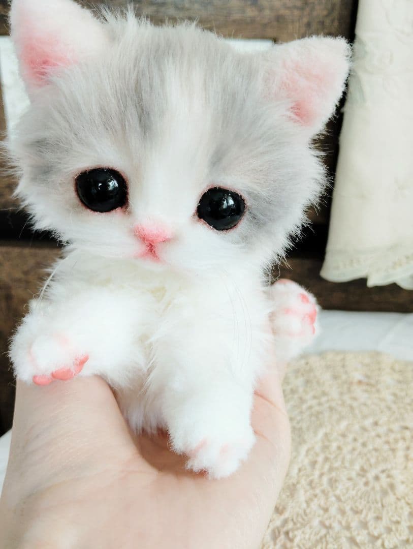 幼猫♡生後２週間♡よちよち期♡子猫の杏ちゃん♡アートドール♡ぬいぐるみ♡