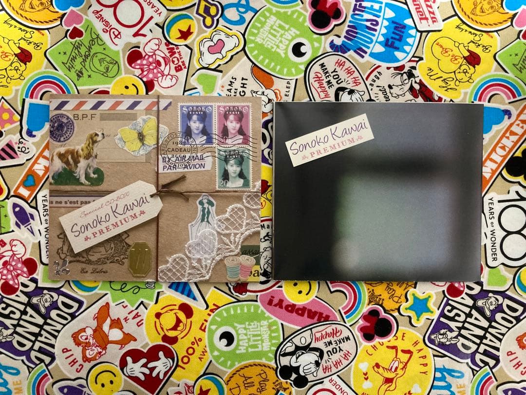 ★匿名配送★　河合その子　プレミアム