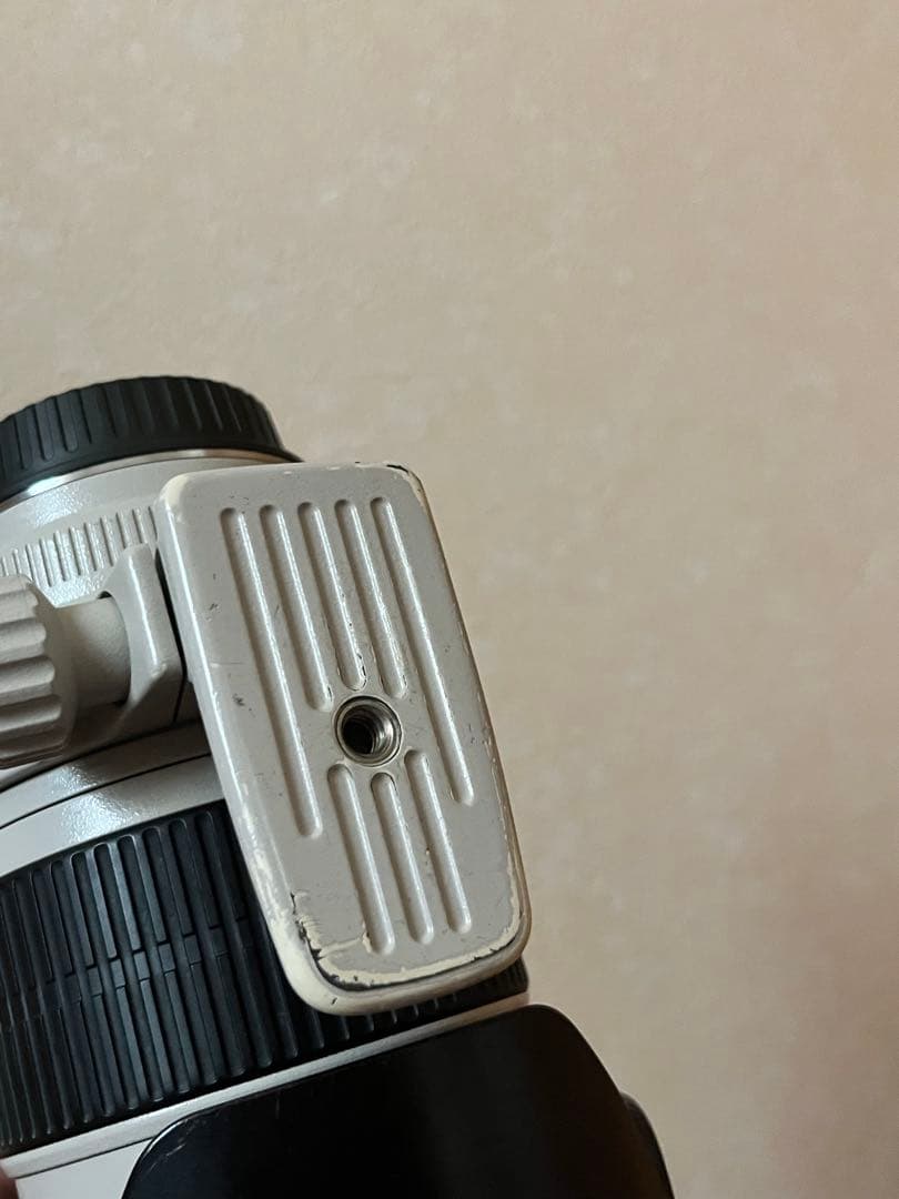 Canon EF 70-200mm f/2.8L IS L USM ズームレンズ