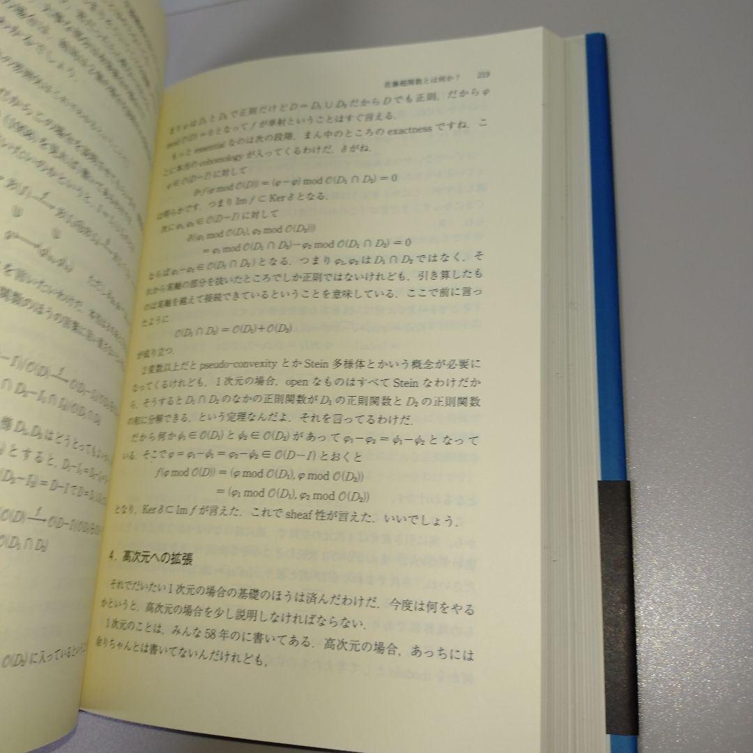 佐藤幹夫の数学