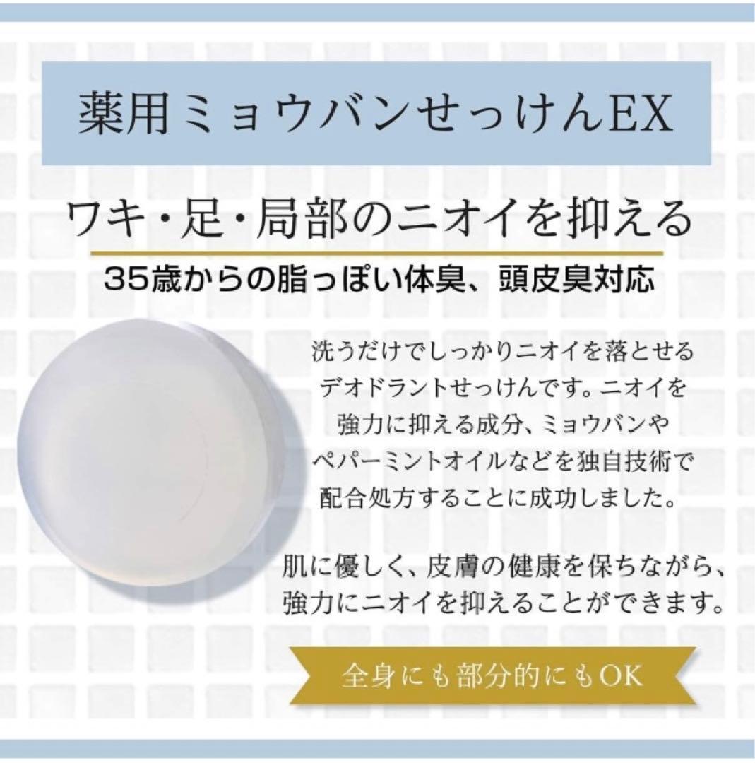 薬用ミョウバンせっけんEX ドクターデオドラント ５個セット ⑥