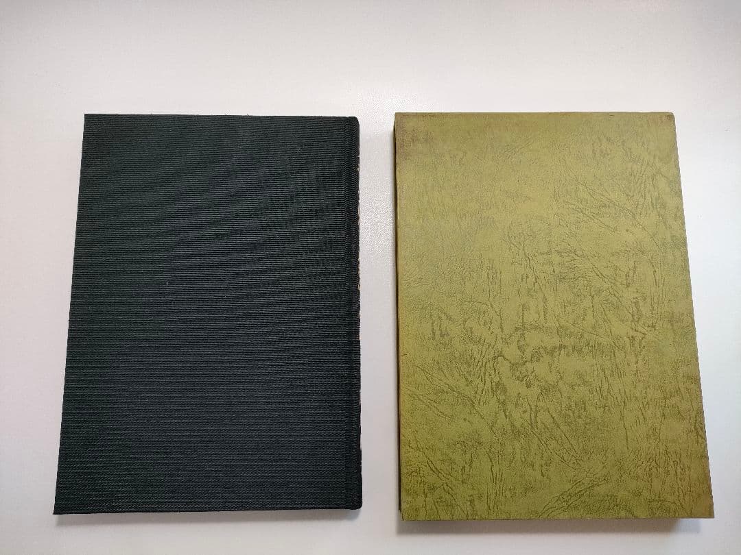 スポーツに生きた私の半世紀 藤原綱夫 スキー 自叙伝