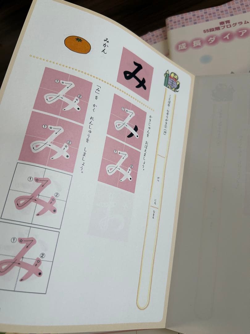 ★プリント未使用★四谷学院 療育55段階プログラムB ★