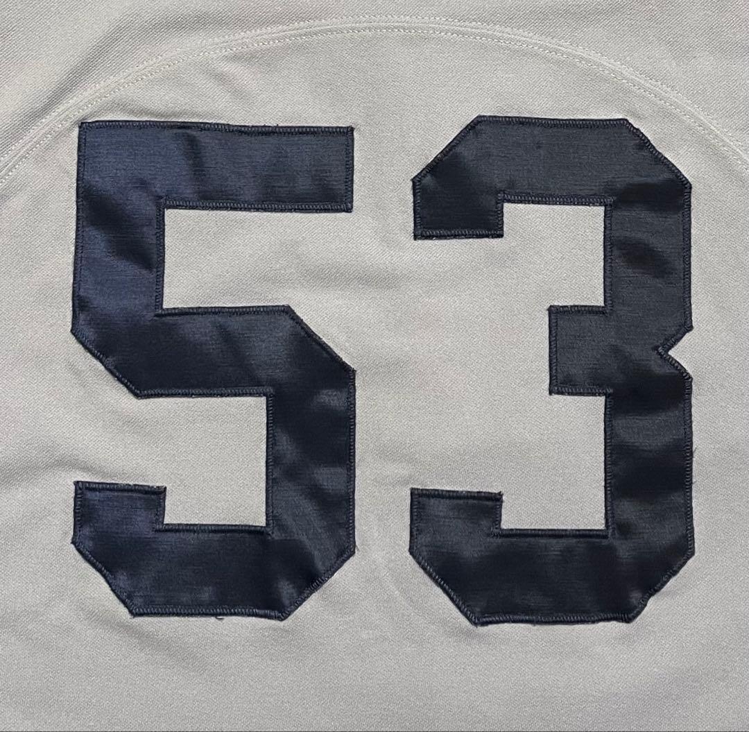 NIKE TEAM HELLCATS ベースボール シャツ グレー XL