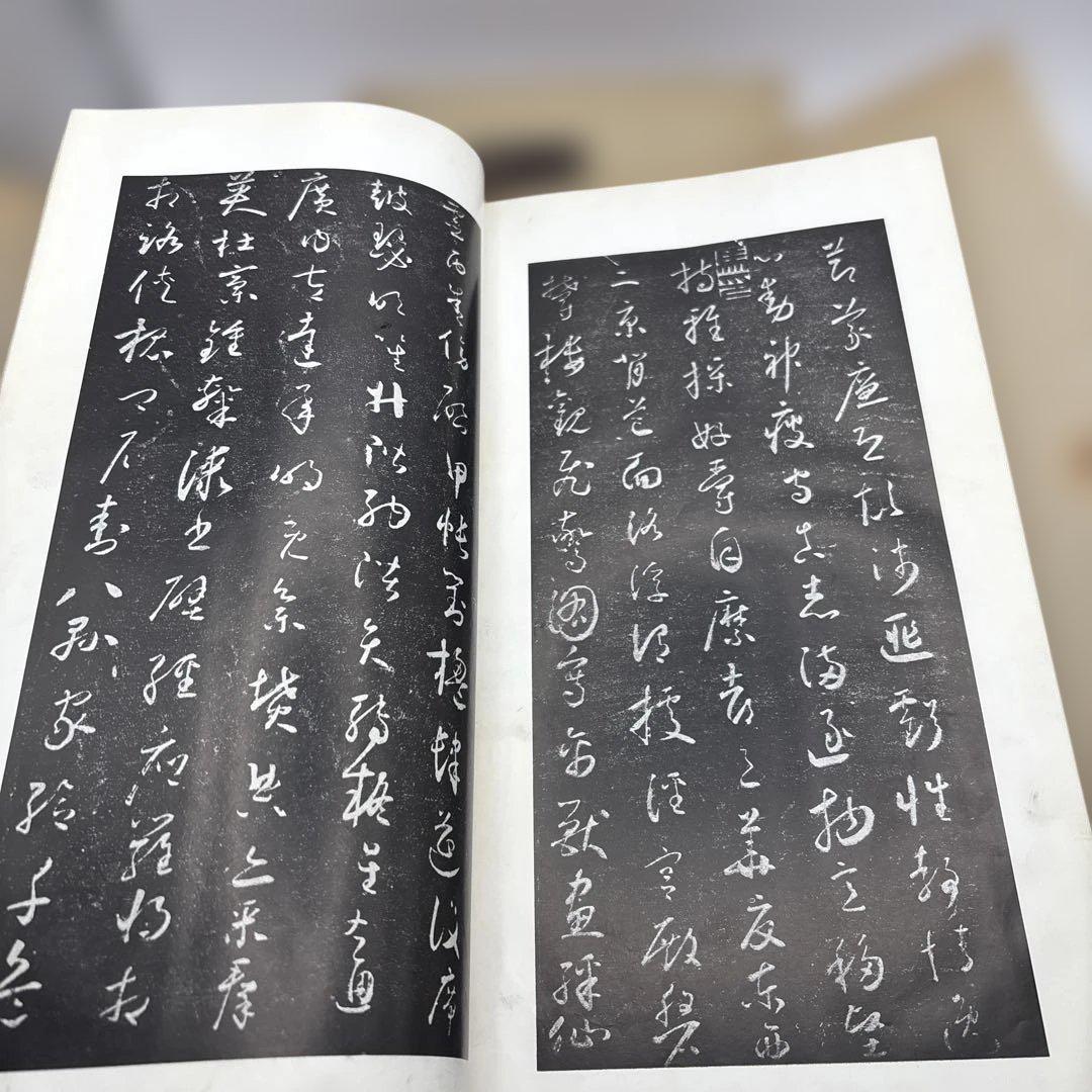 書跡名品叢刊　書譜　二玄社　書道