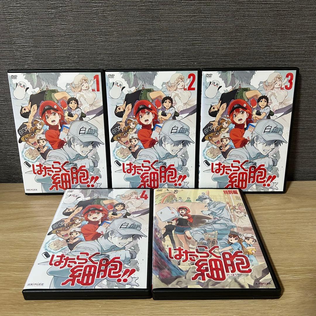 【新品ケース】はたらく細胞　アニメ　DVD 全19巻セット　全巻セット