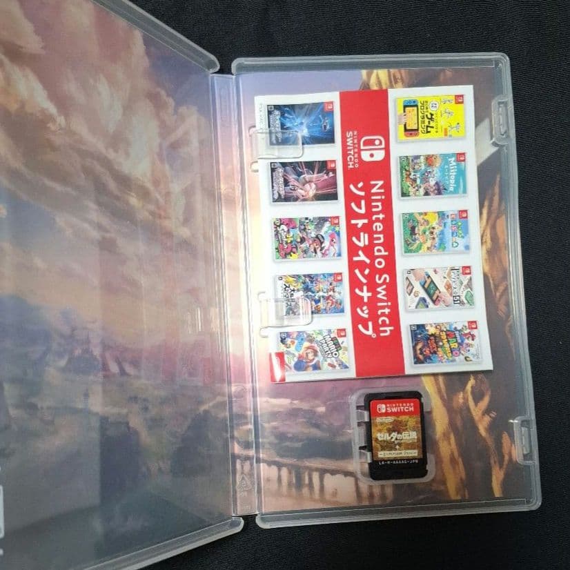 ゼルダの伝説 ブレス オブ ザ ワイルド　エキスパンション