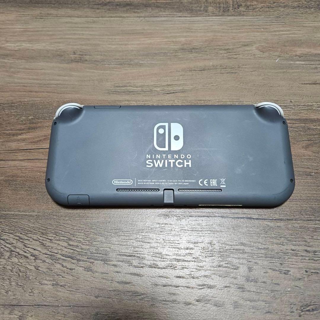 任天堂Switch Lite本体+マインクラフトソフト+SDカード+ケース付き