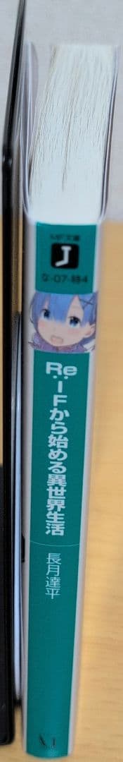 Re:IFから始める異世界生活 Blu-ray特典小説