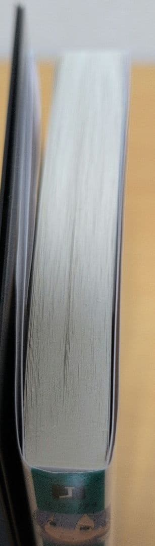 Re:IFから始める異世界生活 Blu-ray特典小説