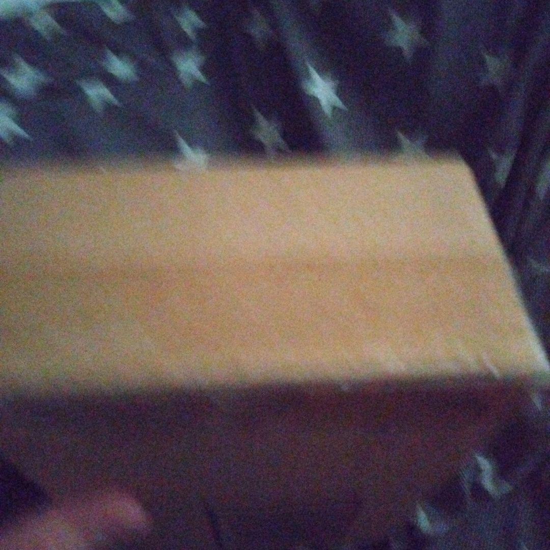 特撮 SHFiguarts MASKED RIDER PUNCHHOPPER