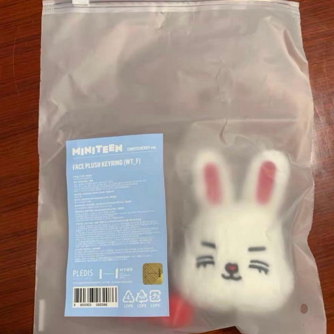 SEVENTEEN　ミニティーン　エスクプス　キーリング