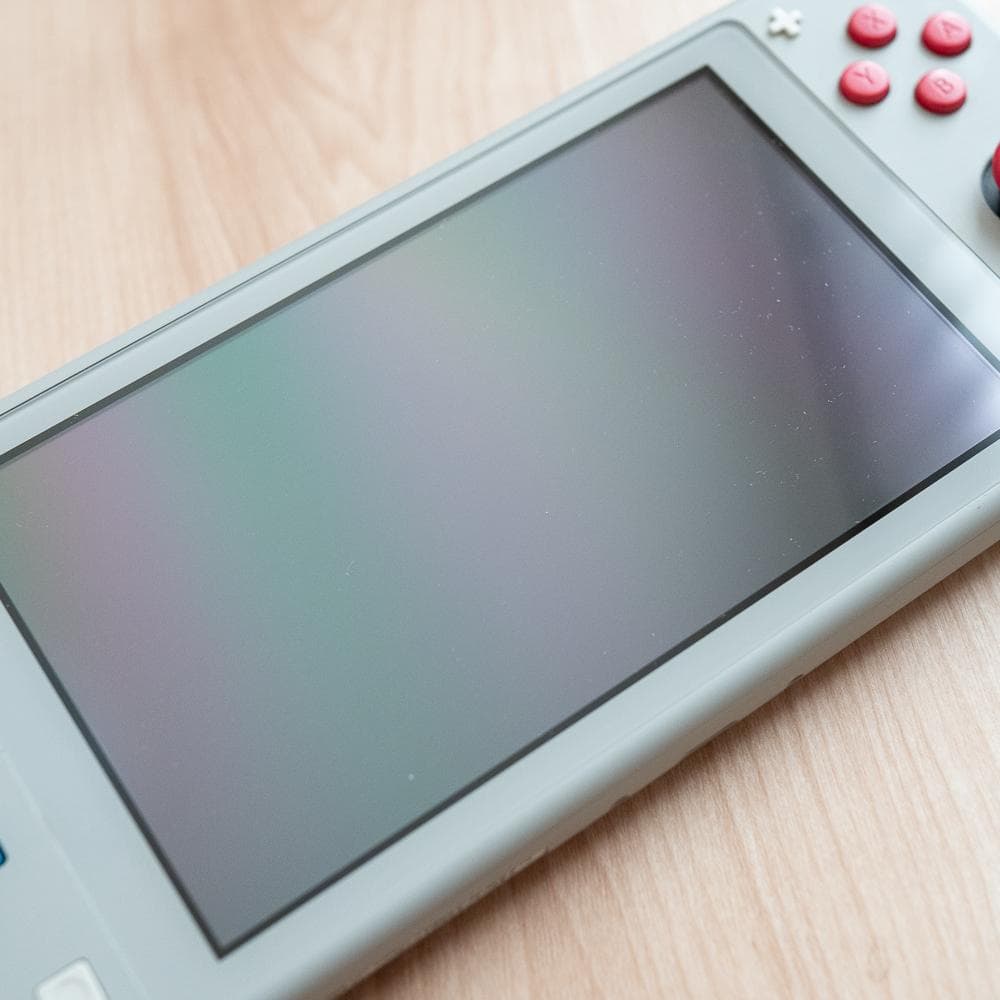 Nintendo Switch Lite グレー 充電器付き ポケモンモデル