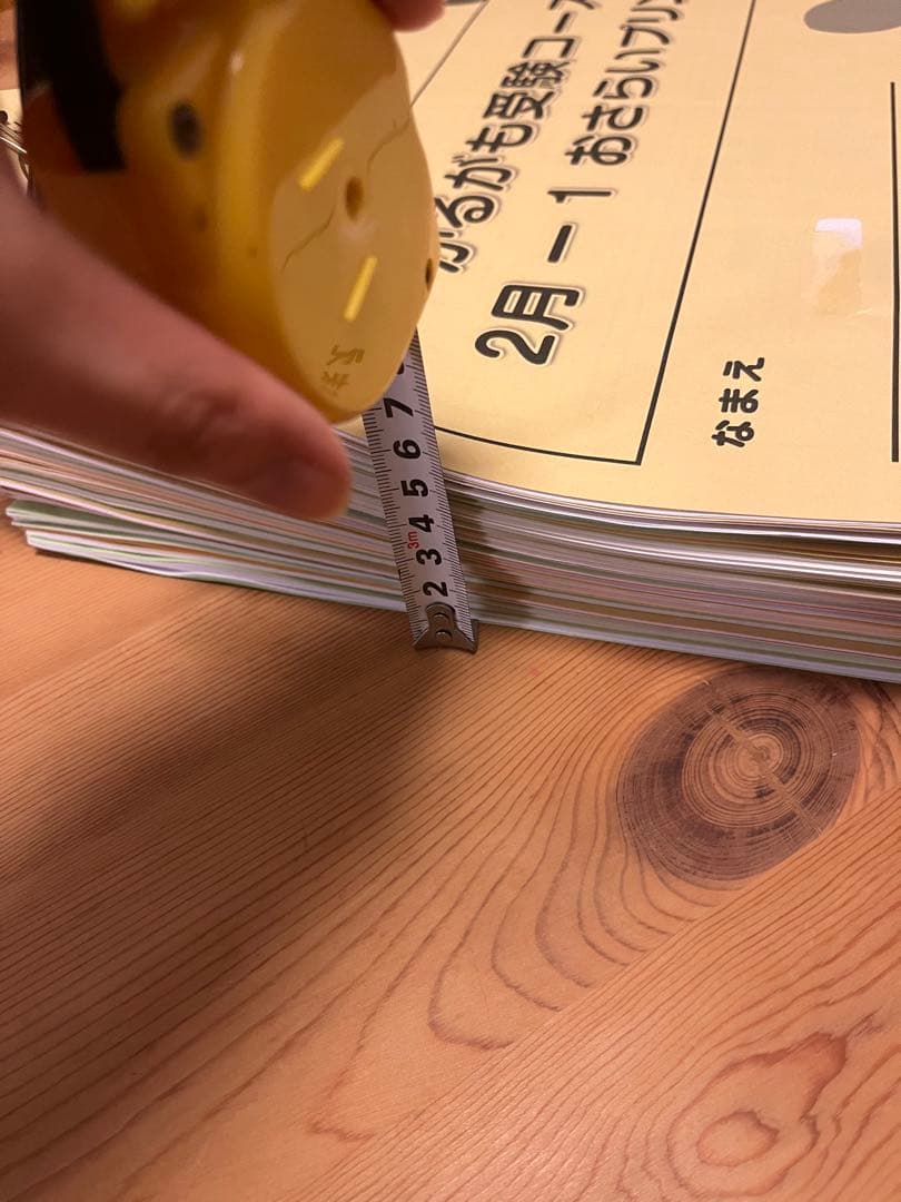 TAM小学校受験☆お受験コース年長8ヶ月分プリント　ペーパー対策に☆