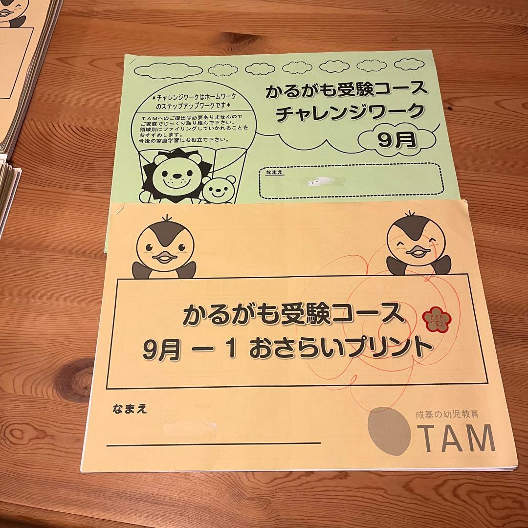 TAM小学校受験☆お受験コース年長8ヶ月分プリント　ペーパー対策に☆