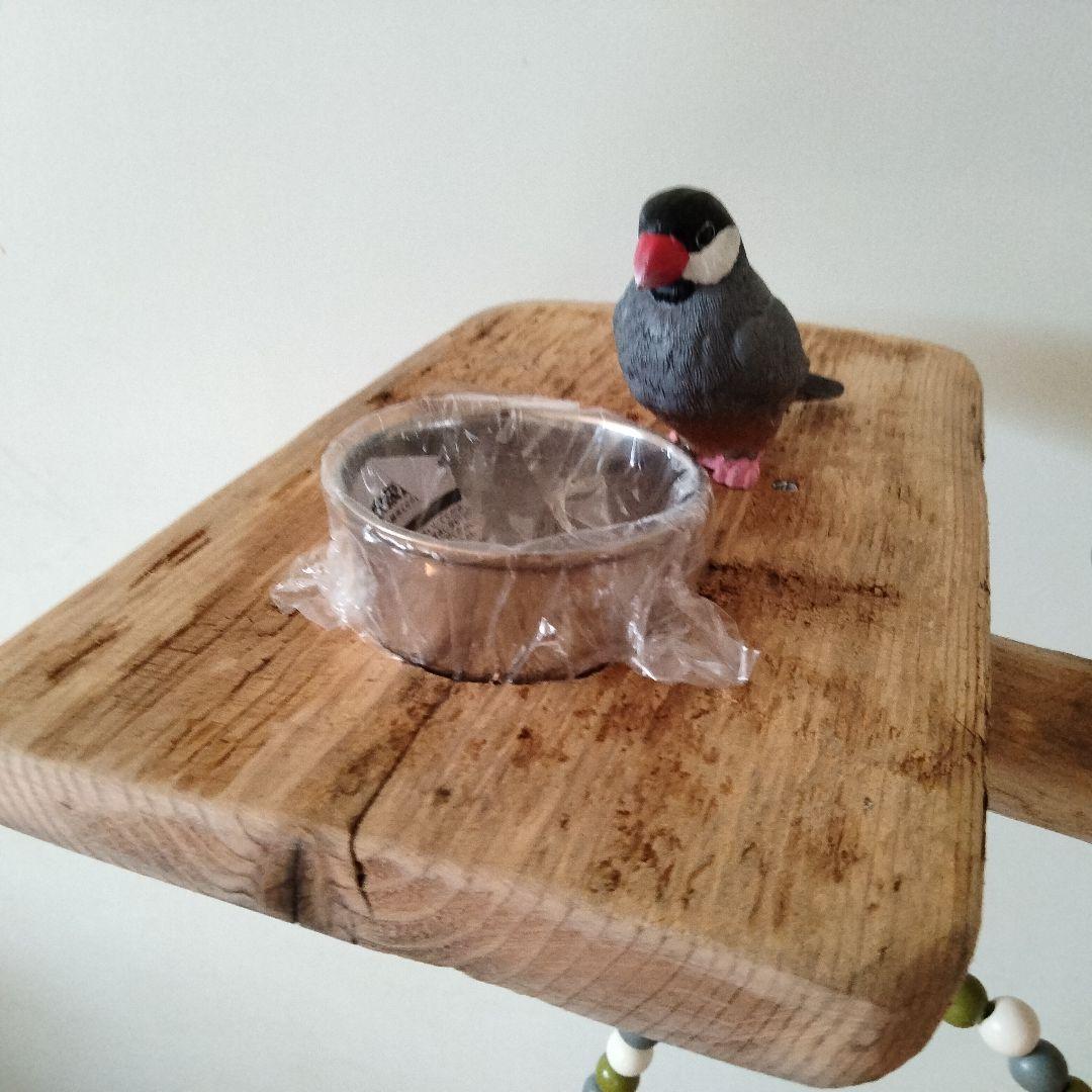 ocean バードアスレチックジム 天然木 自然木 流木 止まり木 インコ