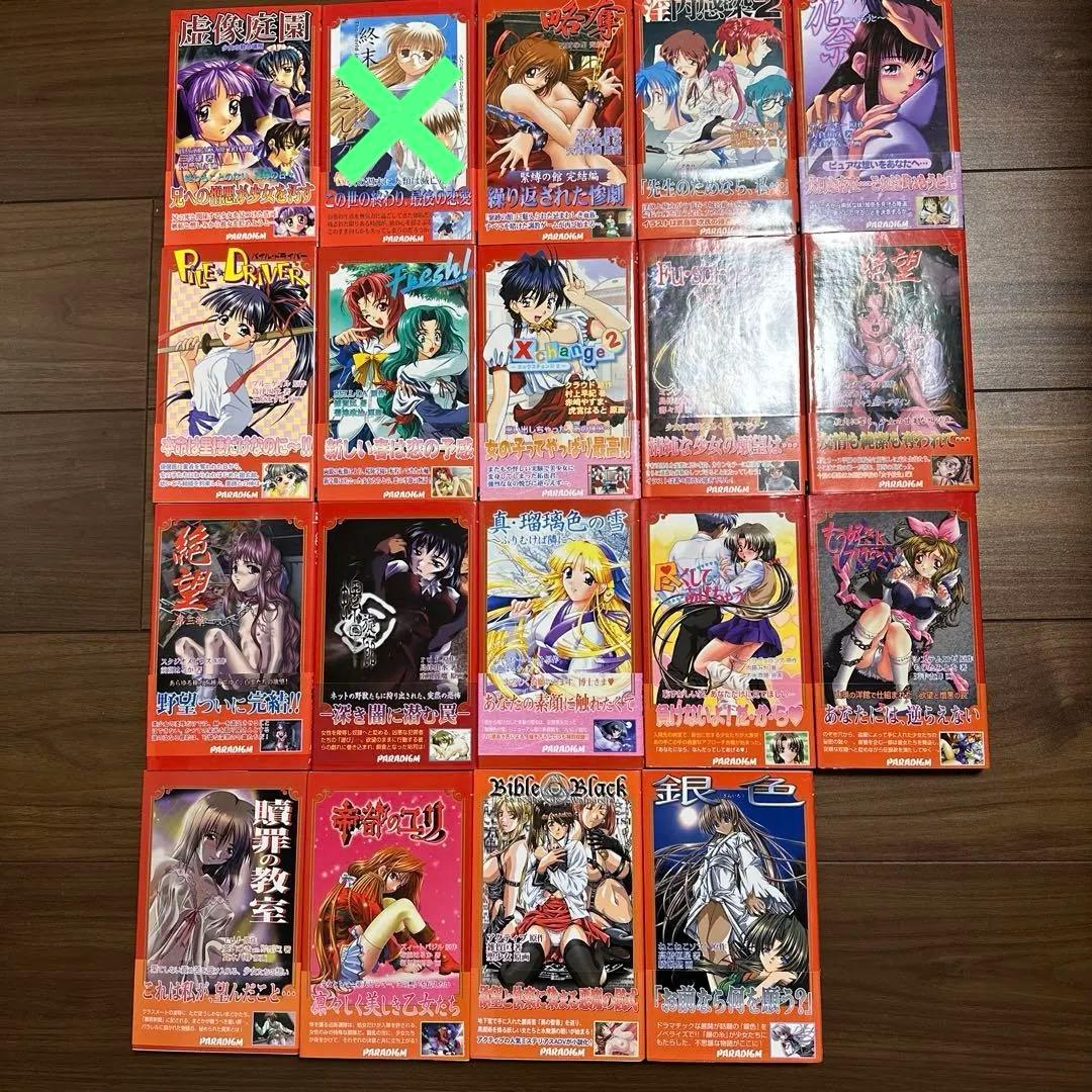 パラダイムノベルス　まとめ売り（バラ売りも可）