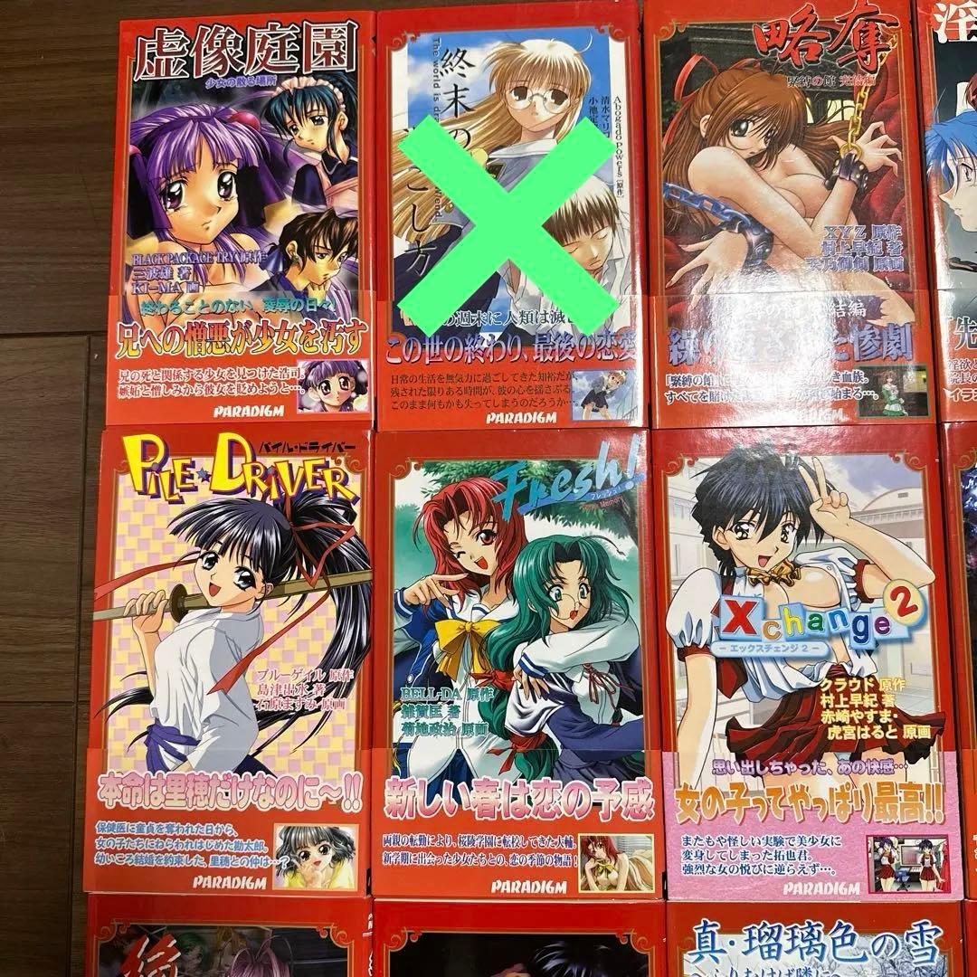 パラダイムノベルス　まとめ売り（バラ売りも可）