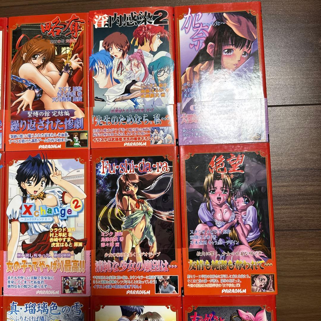 パラダイムノベルス　まとめ売り（バラ売りも可）