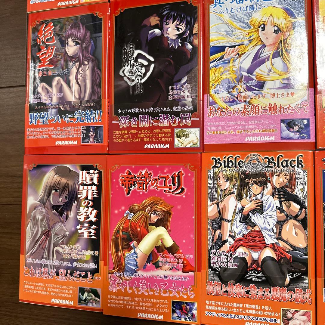 パラダイムノベルス　まとめ売り（バラ売りも可）