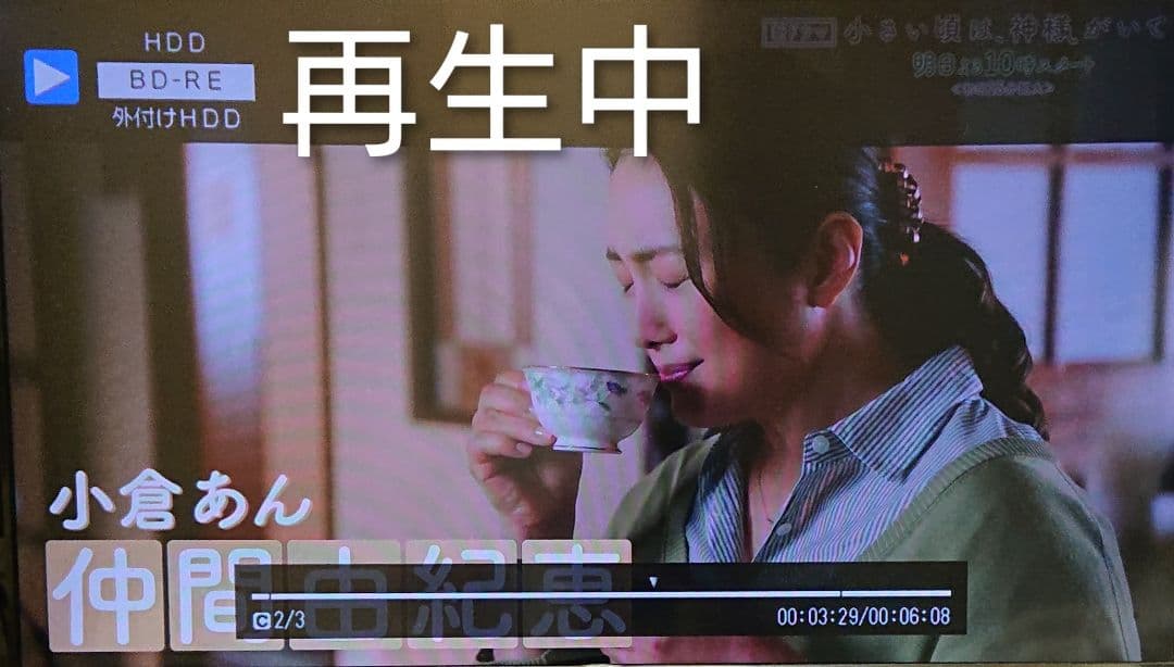 1TB/シャープ/BD-W1700/アクオス/W録/外付HDD/ドラ丸