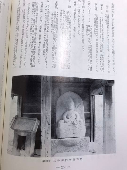 青鳥城跡　関越自動車道関係埋蔵文化財調査報告 Ⅳ