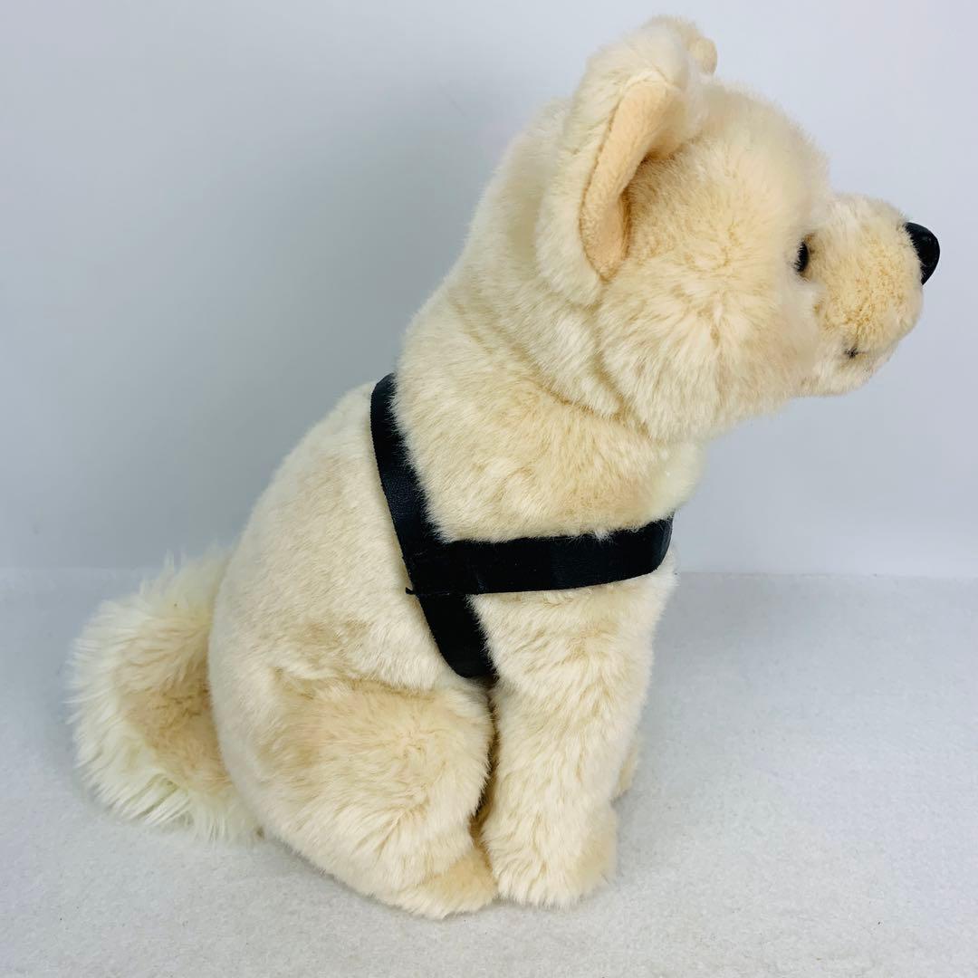 レア　国立科学博物館　秋田犬　ハチ　ぬいぐるみ　おすわり　ハチ号