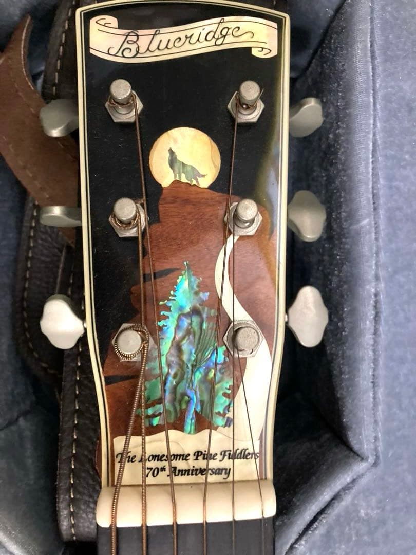 超レア、ヴィンテージギター ブルーリッジの限定モデル「BR-2060」価値有り‼️