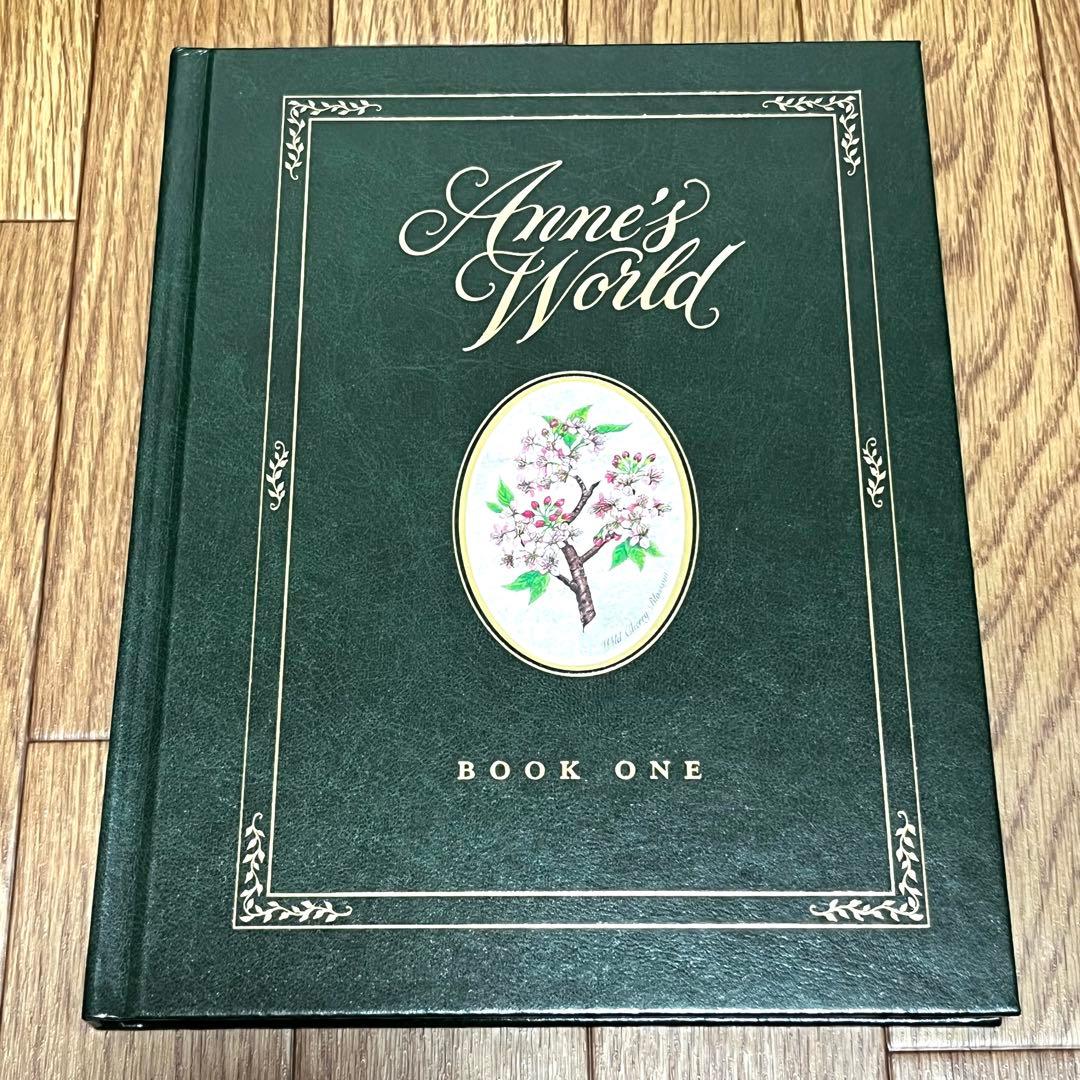 Anne's World アンズワールド　英語教材