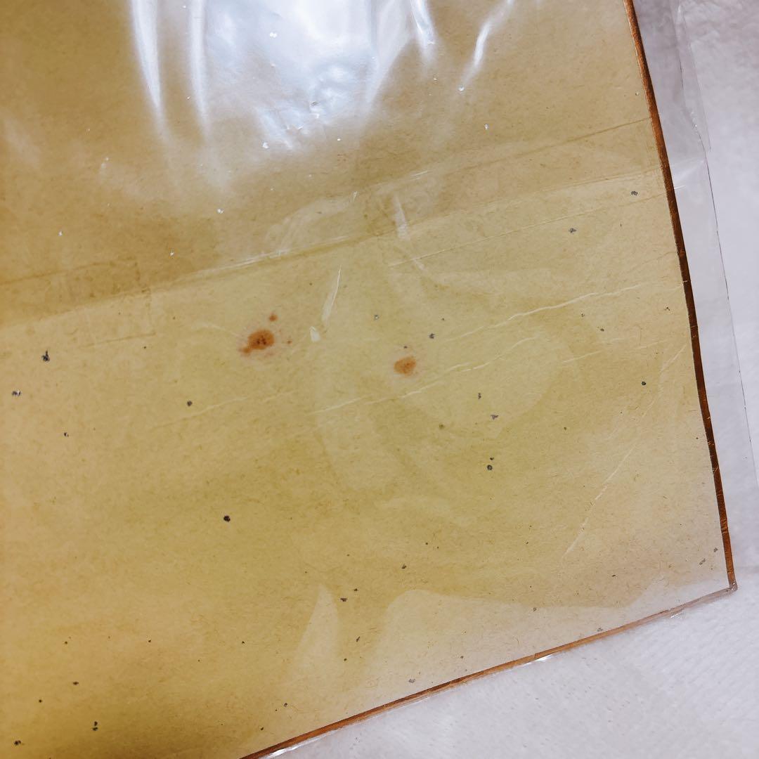 激レア 雅 MIYAVI 直筆サイン色紙 写真付